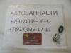 Личинка двери задка ( ЗАПАСКА СНИЗУ) Great Wall Safe  3704030-F00
