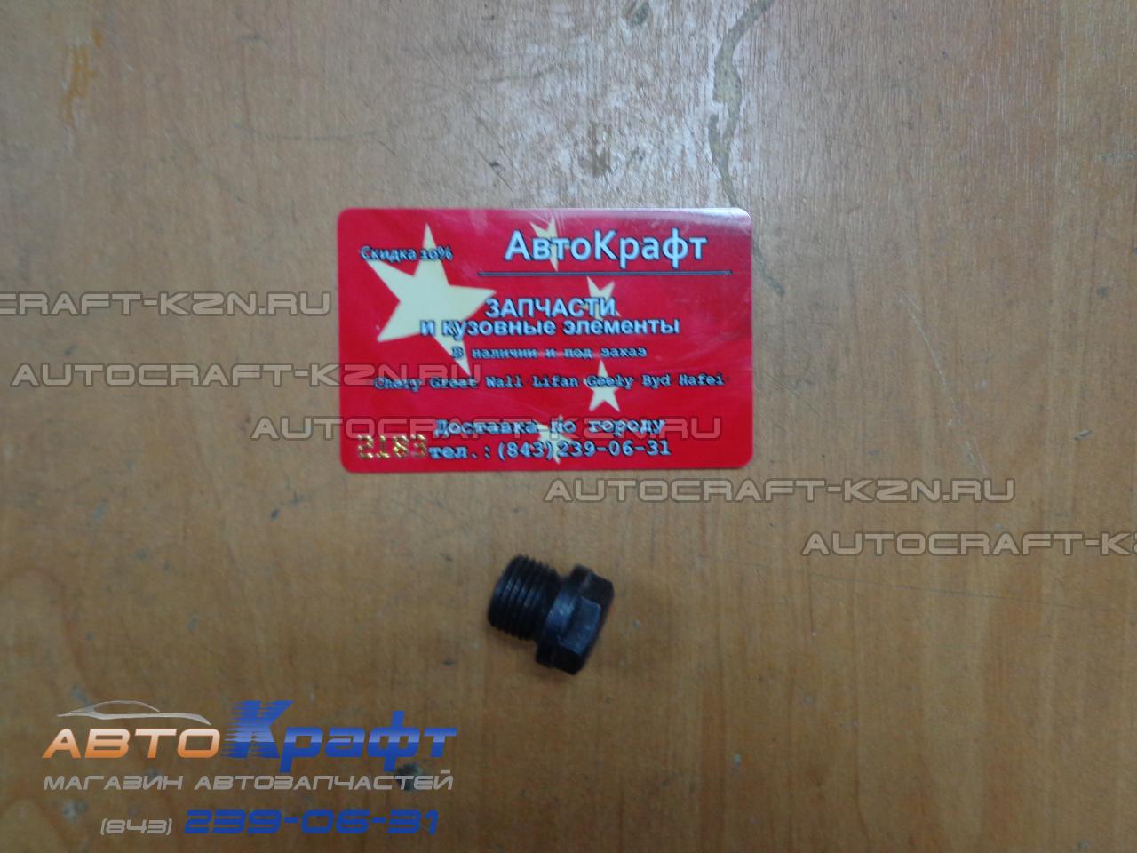 Пробка поддона Chery Tiggo 1.6 1.8, Vortex Tingo 481H-1002042