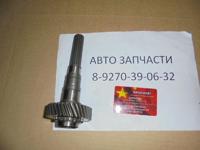 Вал вторичный в сборе Baw Fenix Tonik 474-1701010-01
